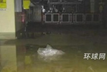福岛核事故（重建、污染与挑战）