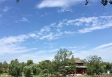 小米5s和苹果6拍照效果对比（小米5s和苹果6谁的拍照更出色？）