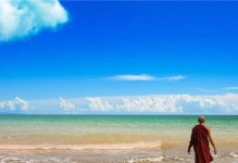 法海风控（掌握风险，守护资本市场稳定）