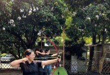 英特热水器的优势和特点（高效节能、智能控制，让生活更舒适）
