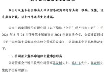 如何成功卖出你的域名？（掌握关键策略，实现高价域名交易）