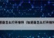 推荐一款能够畅游Twitter的加速器（让你轻松访问Twitter的最佳加速器）