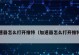 推荐一款能够畅游Twitter的加速器（让你轻松访问Twitter的最佳加速器）