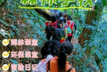《探秘以生存大世界胡须的魅力》（深入了解并发现其独特的游戏魅力）