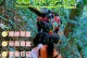 《探秘以生存大世界胡须的魅力》（深入了解并发现其独特的游戏魅力）