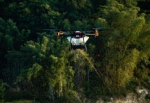 以极飞植保无人机革新农业保护方式（高效、智能、环保的农田守护者）