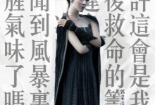 乐视爵迹（揭秘乐视爵迹的魅力与创新）