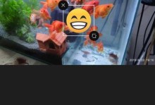 剪映镜像教程（从入门到精通，快速掌握剪映镜像的使用技巧）
