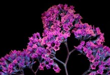 探索粉丝桌面（了解粉丝桌面的设计理念，发现个性化定制的无限可能）
