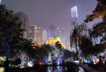 魅族手机摄影的惊人表现（以魅族手机为工具，记录细腻之美）