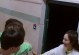 映客黑屋事件揭秘（以映客怎么样会被关黑屋？有关黑屋事件的真相解读）