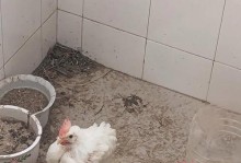 一加手机一十3（突破性创新、卓越性能与前沿科技共舞）