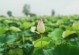 磐石环球数码城（领先科技、优质服务、无限可能）
