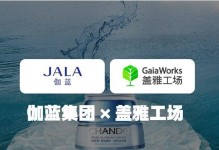 以盖雅工场（从零到英雄的创业之旅）