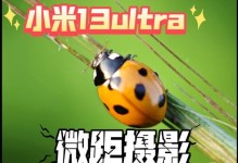 小米运动拍照（用小米运动记录美好瞬间的秘密武器）