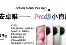 旗舰版与标准版（比较两个版本的特点及功能差异）