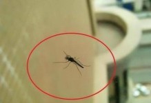 蚊子的消失会给世界带来哪些变化？（探究蚊子对生态系统和人类的影响）