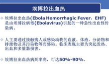 预防埃博拉病毒传播的有效方法