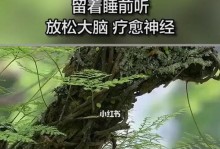 放松大脑的艺术（以简单方式舒缓压力、促进专注、增强记忆力与创造力）