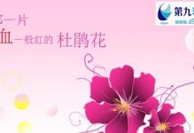 杏雨梨云重装系统教程（一步步教你如何轻松重装电脑系统）
