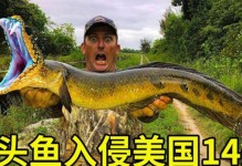 亚洲鲤鱼治理（亚洲鲤鱼入侵问题的现状与控制措施）